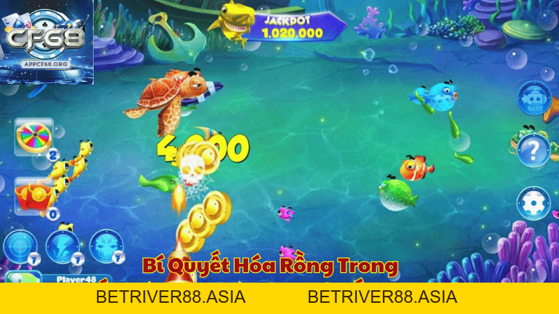 Bắn Cá CF68 – Đại Dương Vàng Chờ Đón Những Thợ Săn Tài Ba